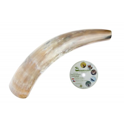 Wabik na jelenie - Róg 40cm + CD
